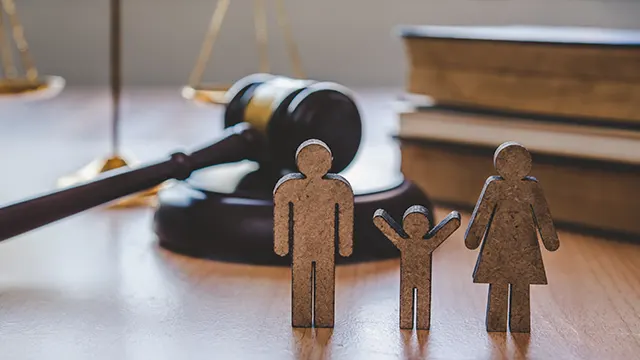 Droit de la famille et successions